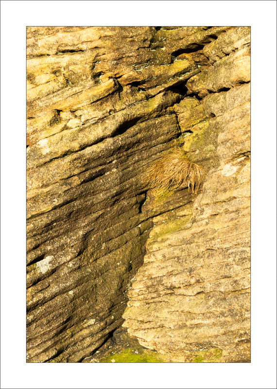  - Gritstone