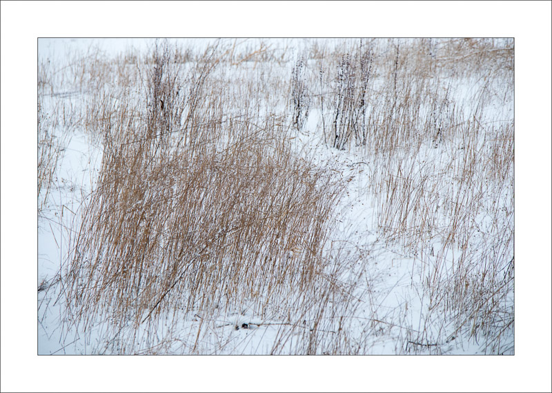  - Southwell Trail in Winter