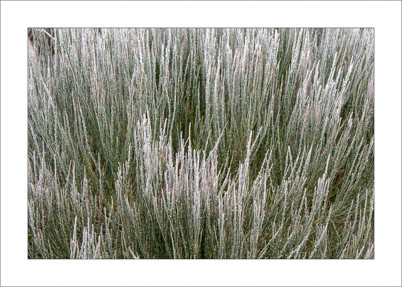  - Southwell Trail in Winter