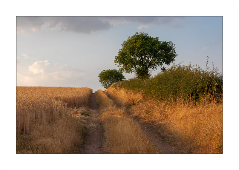  - Southwell Trail in Spring and Summer