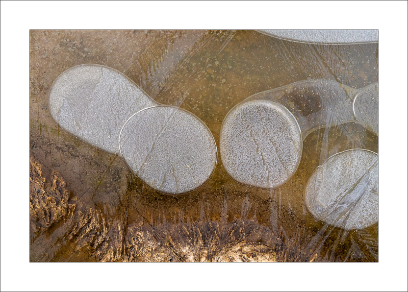  - Ice Abstracts