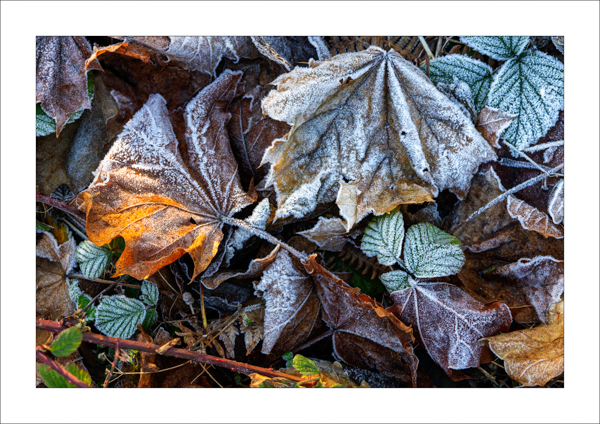  - Photography Review 2025