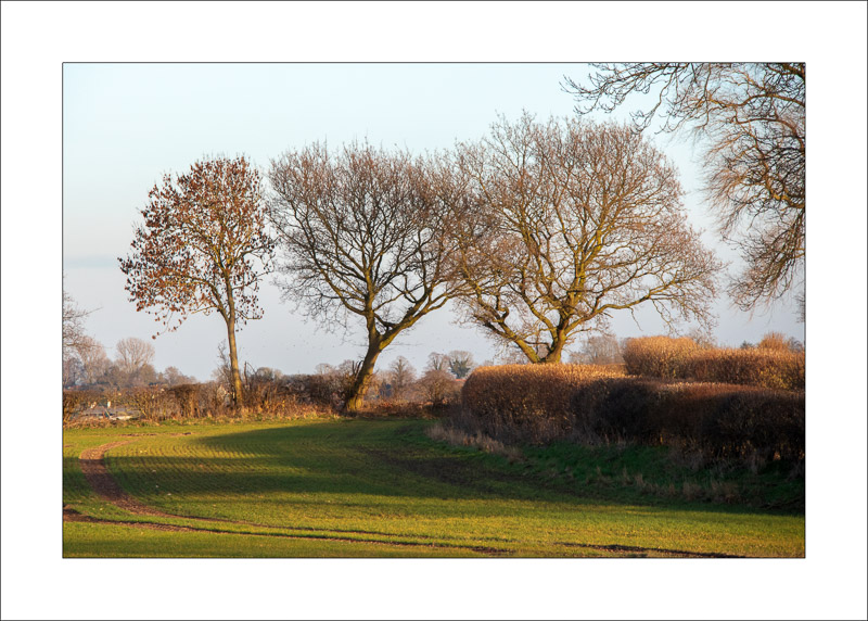  - Farnsfield