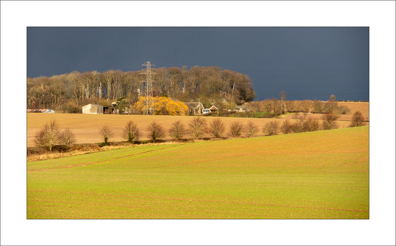  - Southwell Trail in Winter