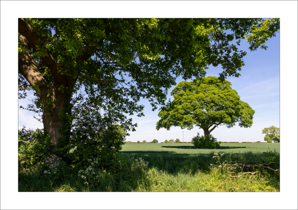  - Photography Review 2025