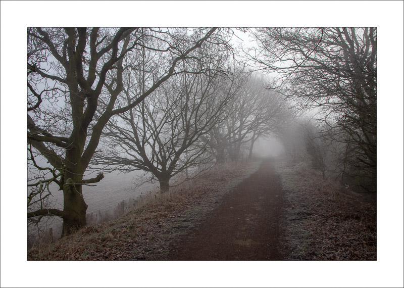  - Southwell Trail in Winter