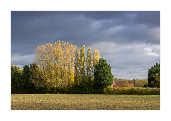  - Photography Review 2025