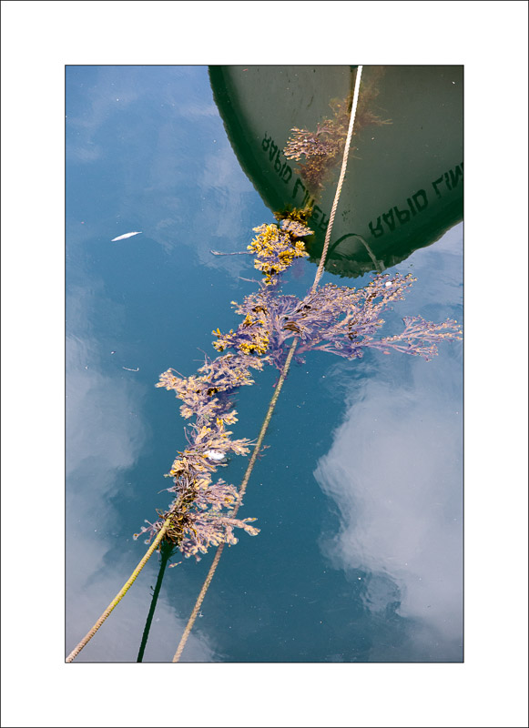  - Quayside