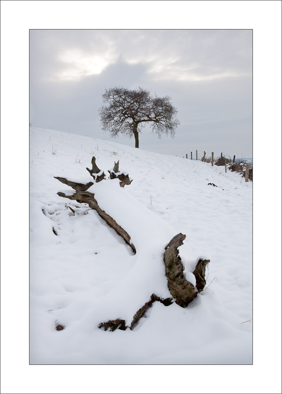  - Robin Hood Hill