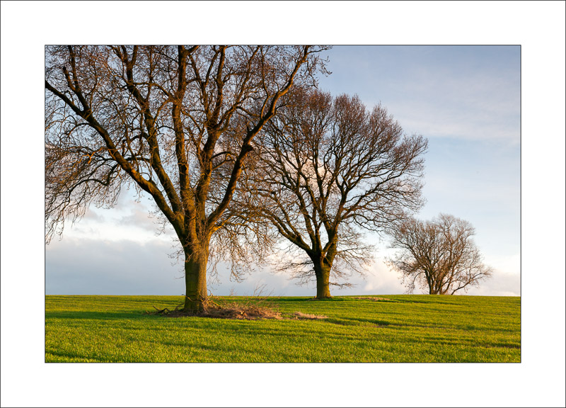  - Farnsfield