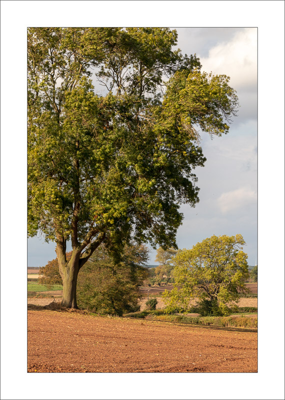  - Farnsfield