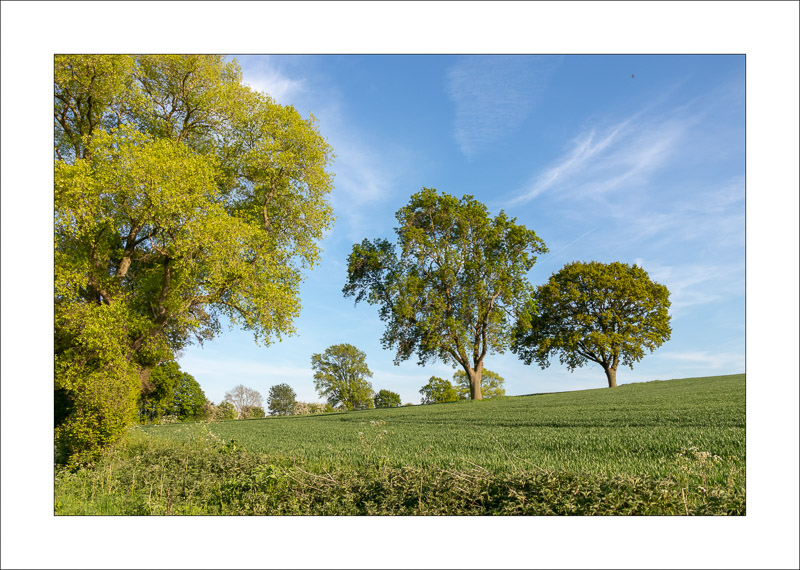  - Farnsfield
