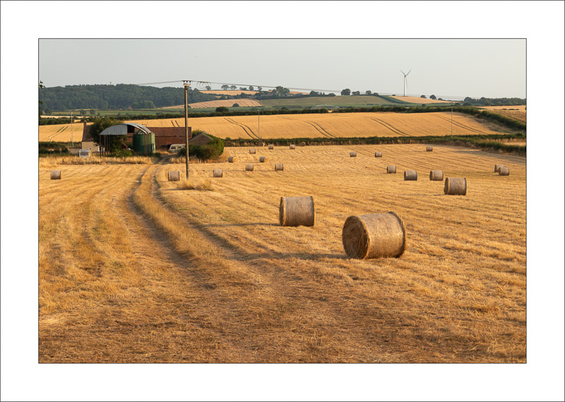  - Southwell Trail in Spring and Summer