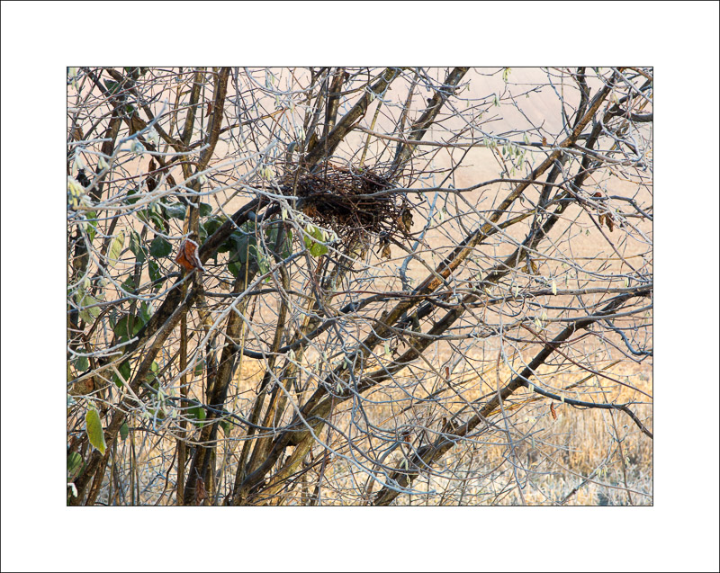  - Southwell Trail in Winter
