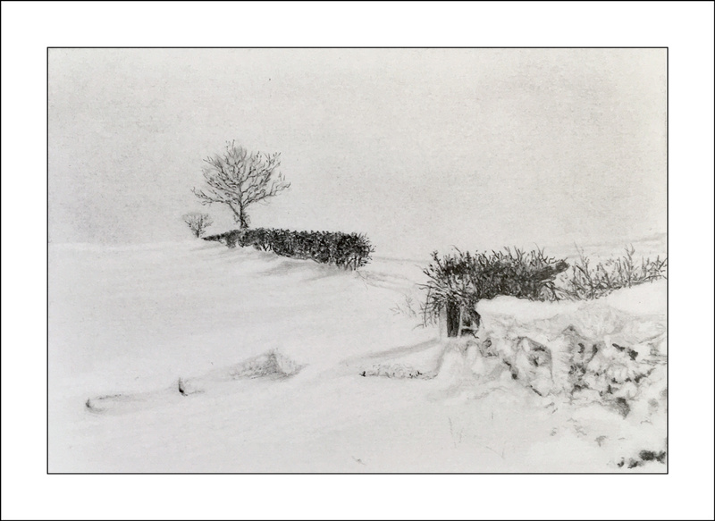 Graphite Drawing #16 - Artwork