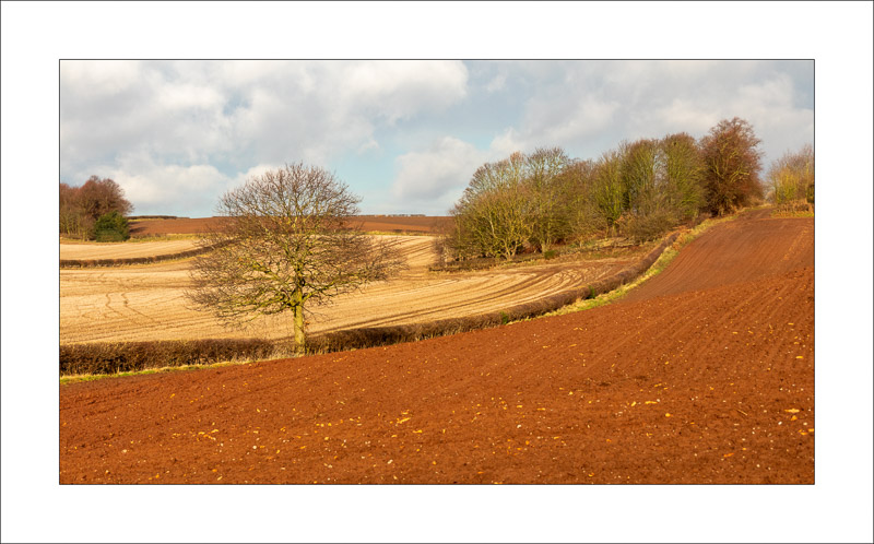  - Southwell Trail in Winter