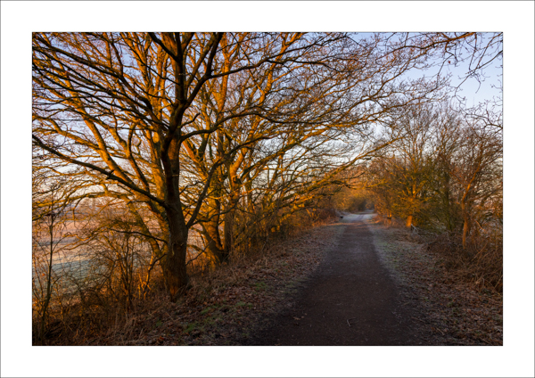  - Photography Review 2025