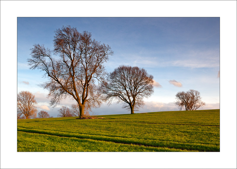  - Farnsfield