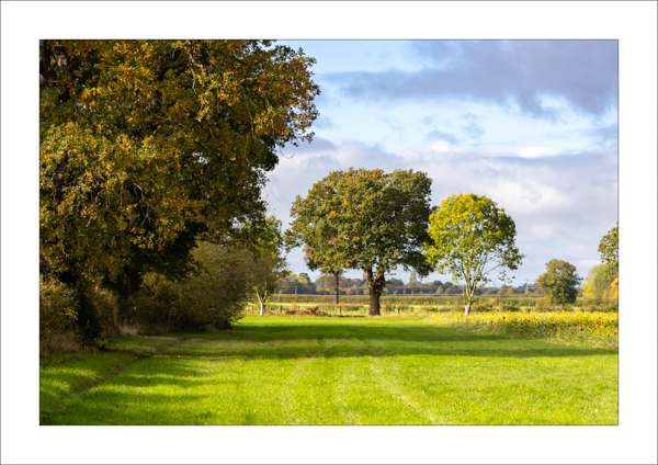  - Photography Review 2025