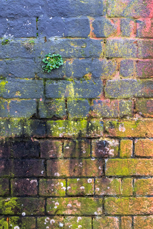  - Notes on the City
