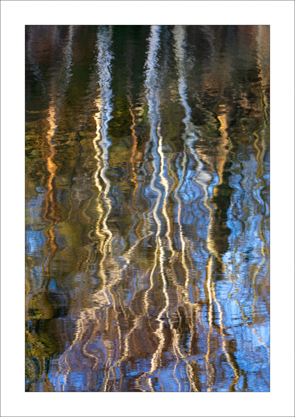  - Photography Review 2025