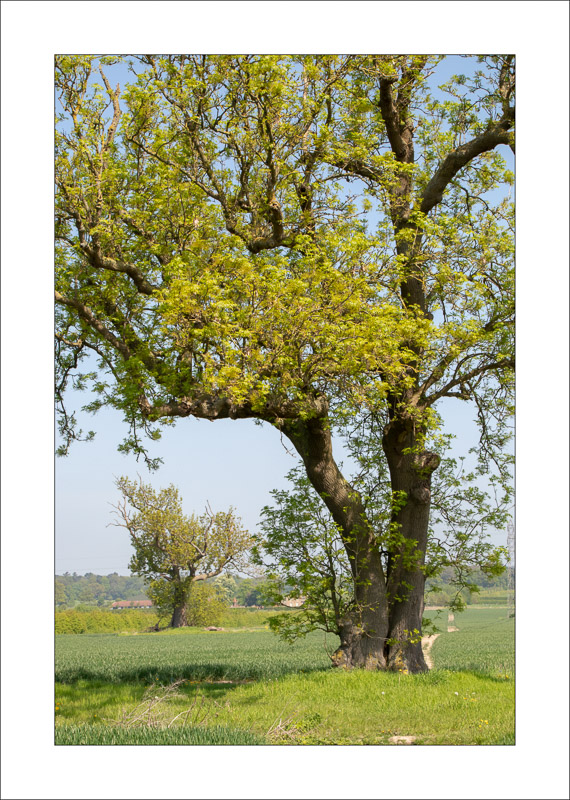  - Southwell Trail in Spring and Summer