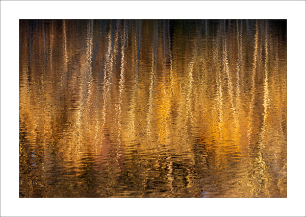  - Photography Review 2025