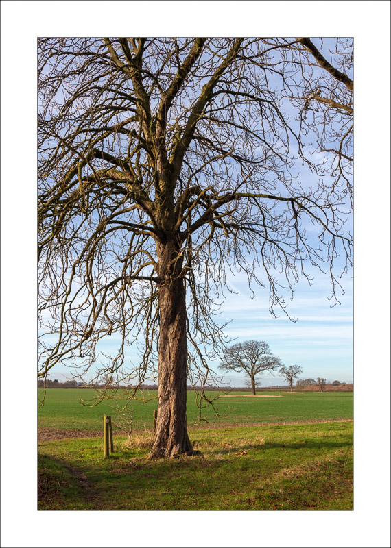  - Southwell Trail in Winter