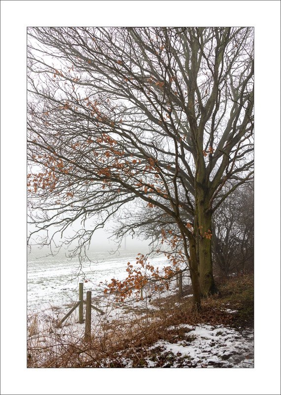  - Southwell Trail in Winter