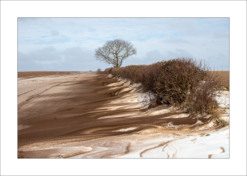  - Southwell Trail in Winter