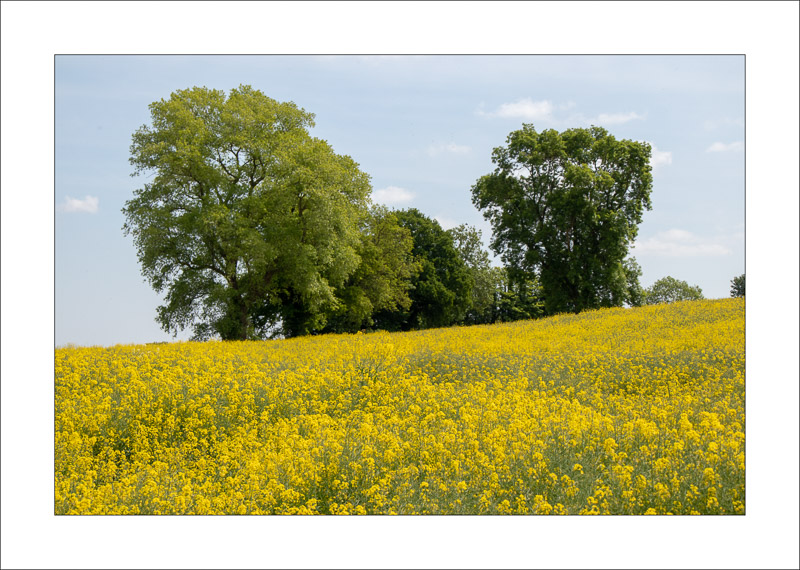  - Farnsfield
