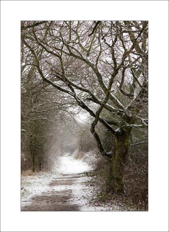  - Southwell Trail in Winter