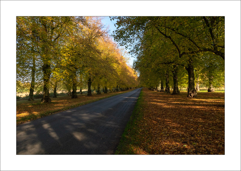  - Clumber Park