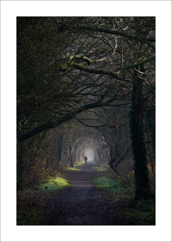  - Southwell Trail in Winter