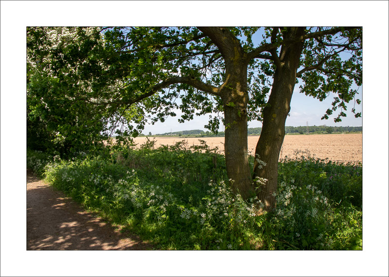  - Southwell Trail in Spring and Summer