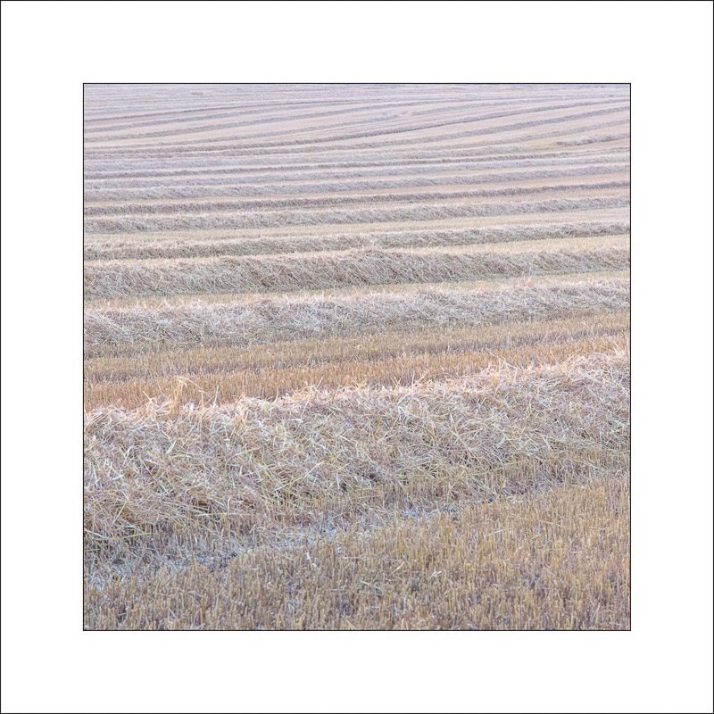  - Land and Sky