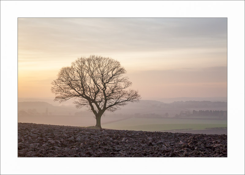  - Robin Hood Hill