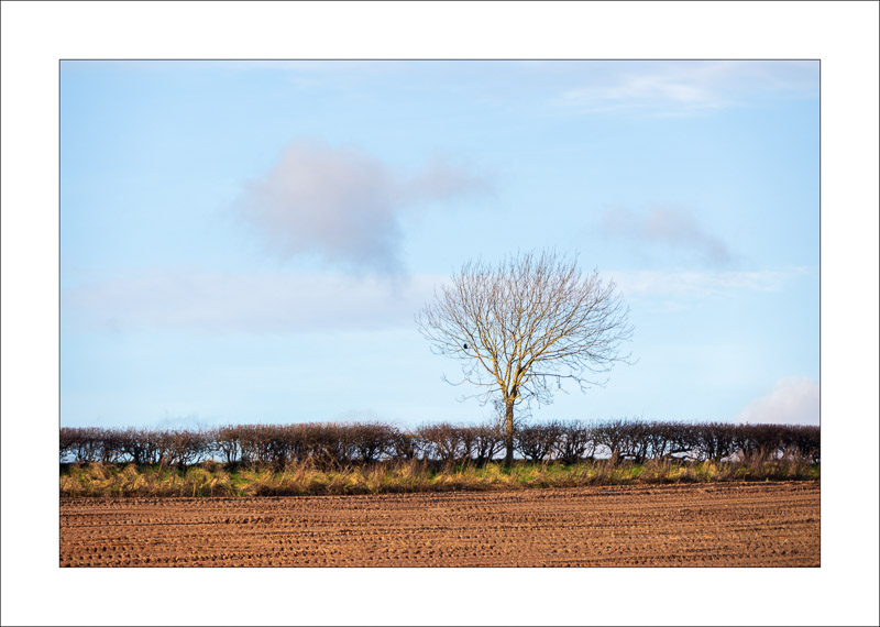  - Southwell Trail in Winter