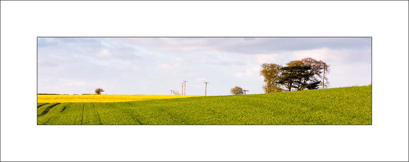  - Southwell Trail in Spring and Summer