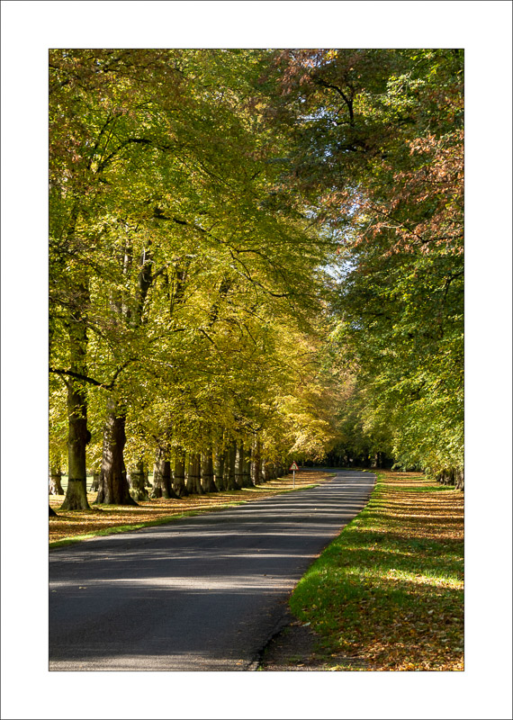  - Clumber Park