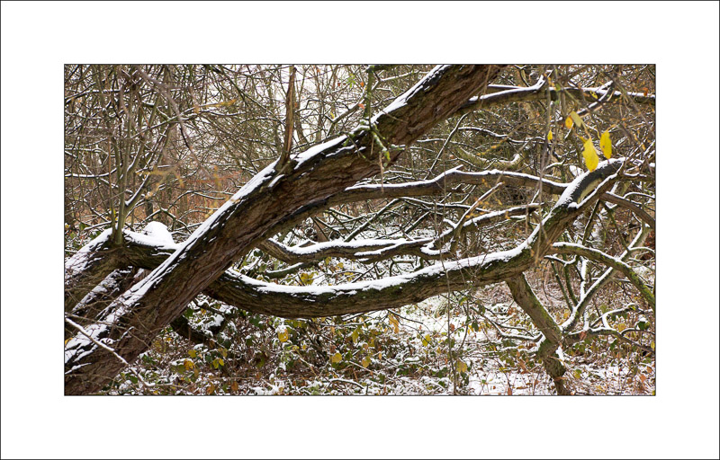  - Southwell Trail in Winter