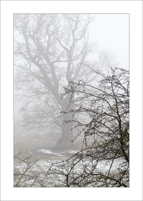  - Southwell Trail in Winter