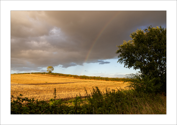  - Photography Review 2025