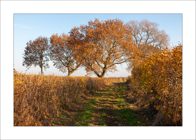  - Farnsfield
