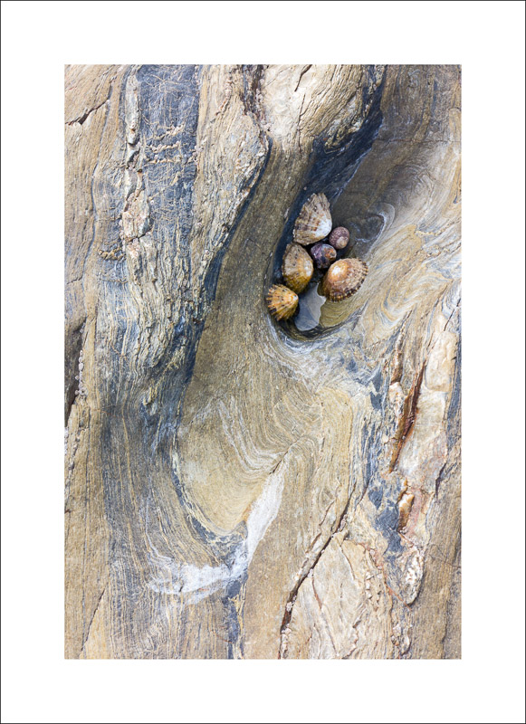  - Rock Studies - Cornwall 2