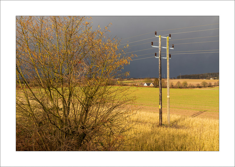  - Southwell Trail in Winter