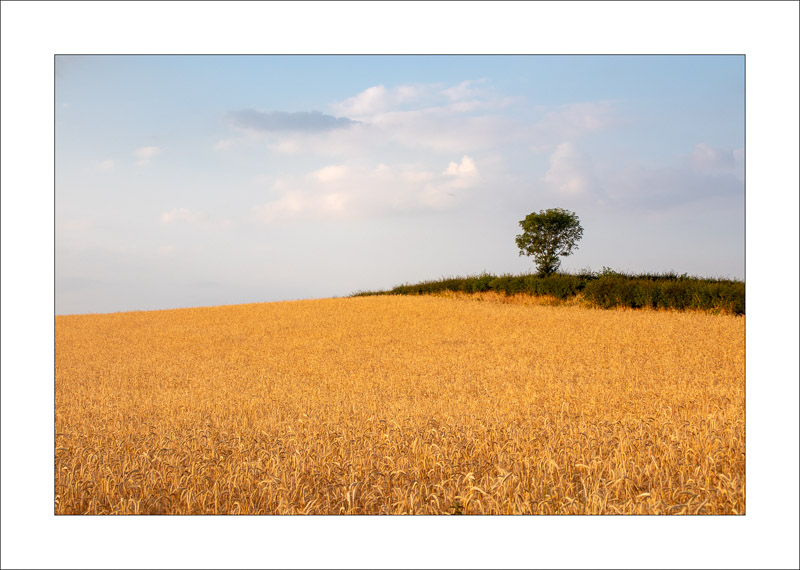  - Southwell Trail in Spring and Summer