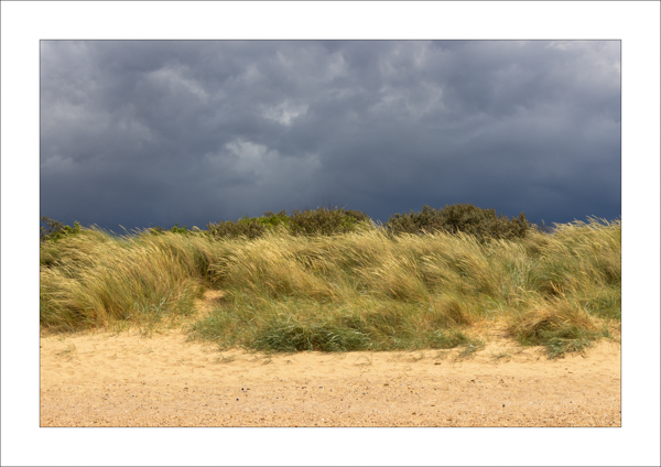  - Photography Review 2025