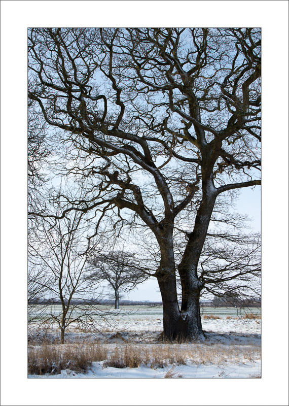  - Southwell Trail in Winter
