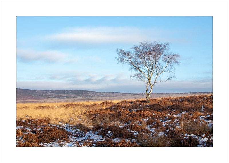 Froggatt Edge - Peak District Landscapes